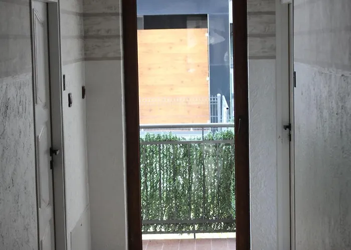 Rubin - I 3* 库瑞尼卡慕斯卡